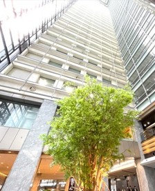 5月11日経営セミナービジョンセンター新宿マインズタワー(東京都)